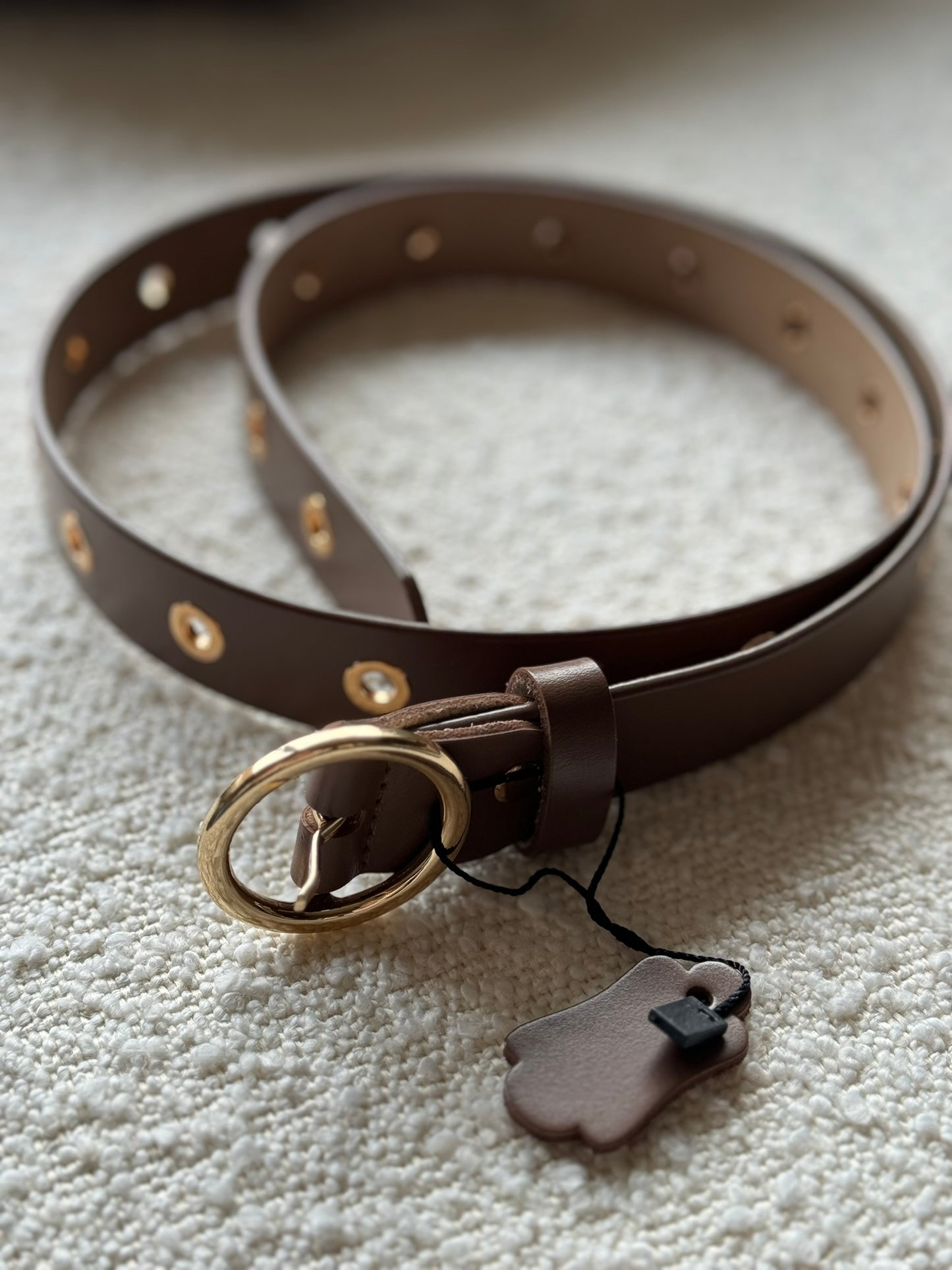 Leren riem met goudkleurige ringen - Bruin