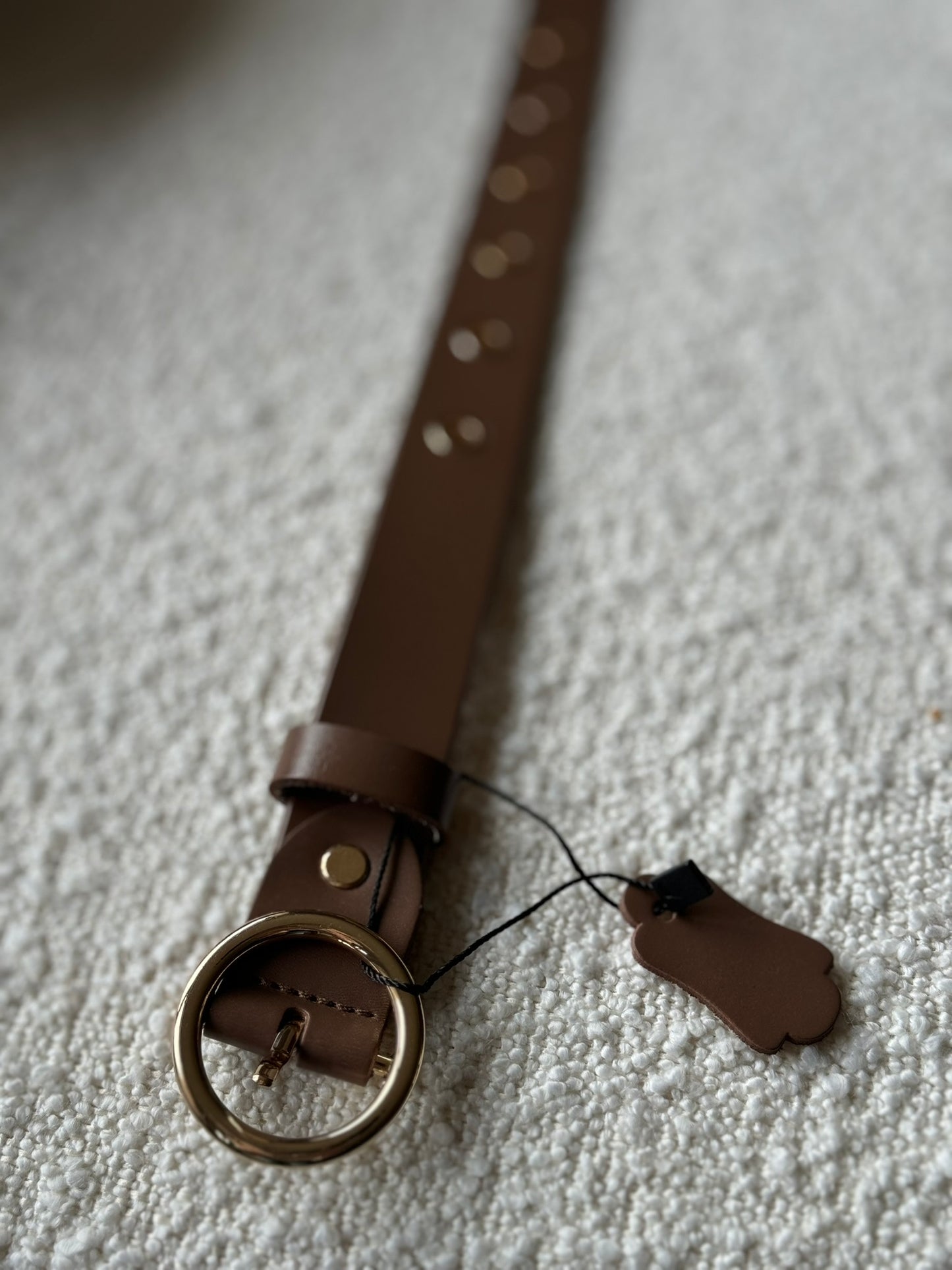 Leren riem met goudkleurige ringen - Bruin